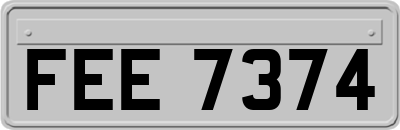 FEE7374