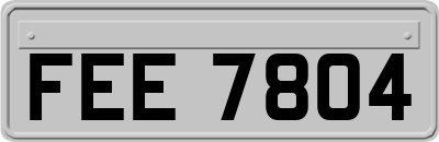 FEE7804