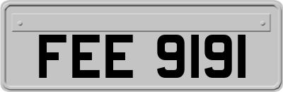 FEE9191