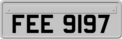 FEE9197