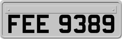 FEE9389