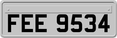 FEE9534