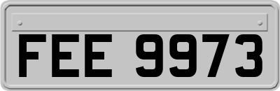 FEE9973