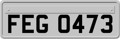 FEG0473