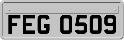 FEG0509