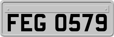 FEG0579