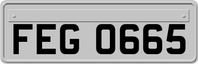 FEG0665