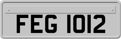 FEG1012