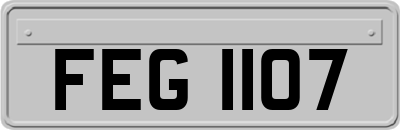 FEG1107