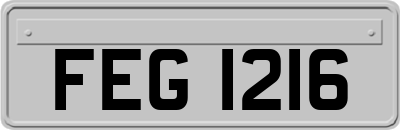 FEG1216