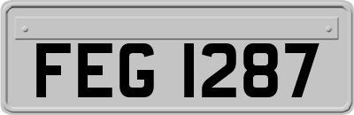 FEG1287
