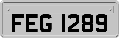 FEG1289