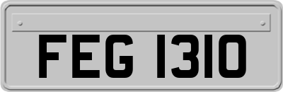 FEG1310