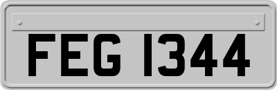 FEG1344