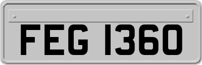 FEG1360