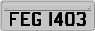 FEG1403