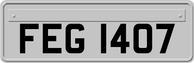 FEG1407