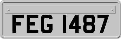 FEG1487
