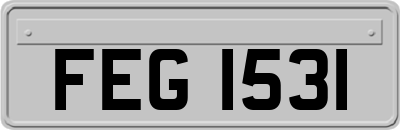 FEG1531