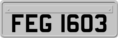 FEG1603