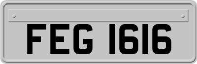 FEG1616