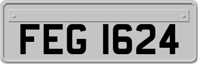 FEG1624