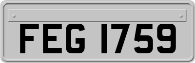 FEG1759