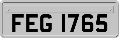 FEG1765