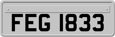 FEG1833