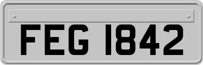 FEG1842