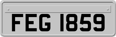 FEG1859