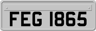 FEG1865