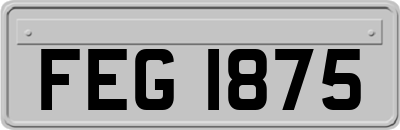 FEG1875