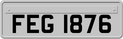 FEG1876