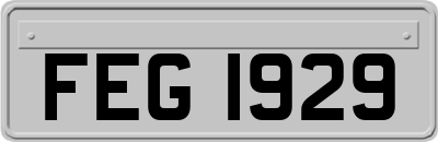 FEG1929