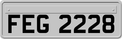 FEG2228