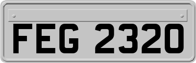 FEG2320