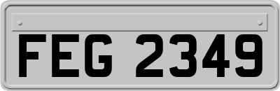 FEG2349