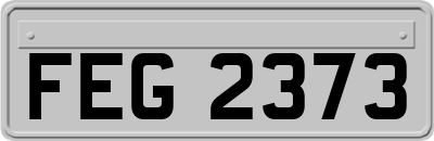 FEG2373