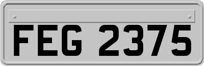 FEG2375