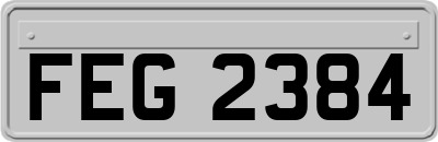 FEG2384