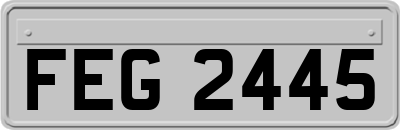 FEG2445