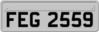 FEG2559