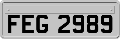 FEG2989
