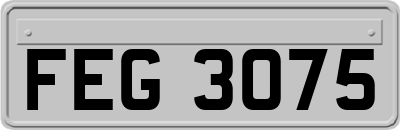 FEG3075
