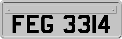 FEG3314
