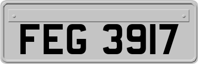 FEG3917
