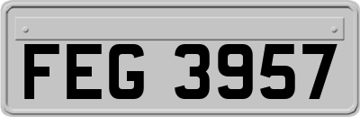 FEG3957
