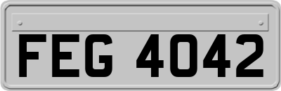 FEG4042