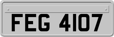 FEG4107